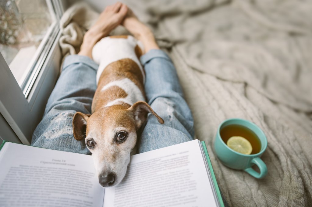 A caregiver and her dog relaxing with a book and a cup of tea