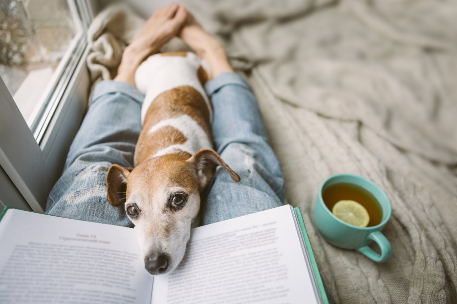 A caregiver and her dog relaxing with a book and a cup of tea