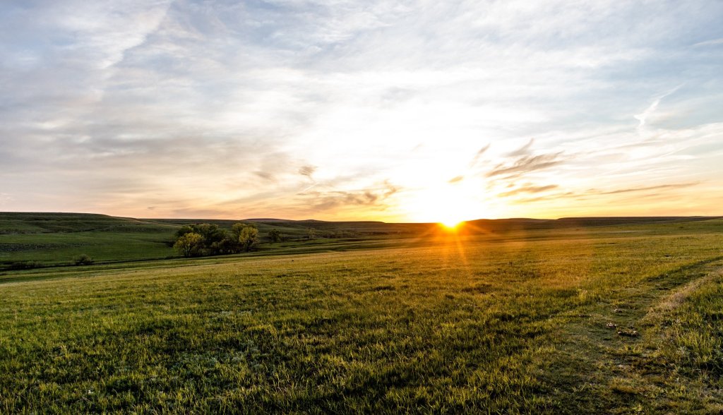 A golden sunset casts long shadows over a grassy field
