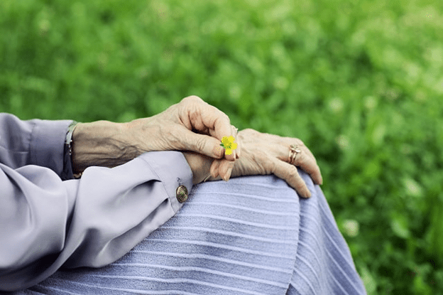 An elderly lady's hands holding a small yellow flower